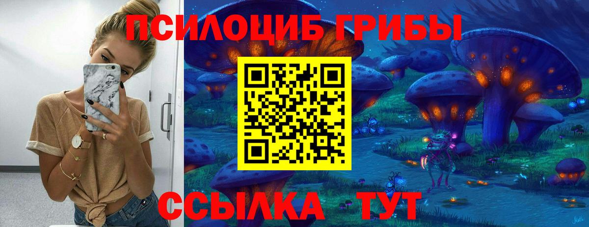 Псилоцибиновые грибы мицелий Кропоткин