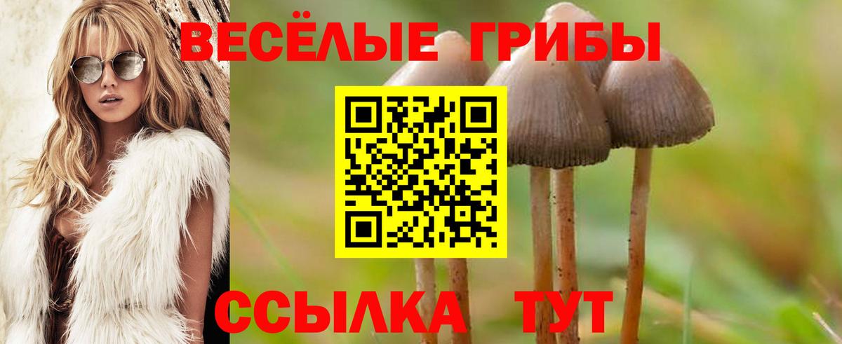 Псилоцибиновые грибы мухоморы  Галлюциногенные грибы GOLDEN TEACHER  Кропоткин  Вход с VPN 
